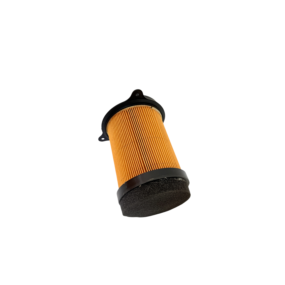 Filtro aire 200 para carguero